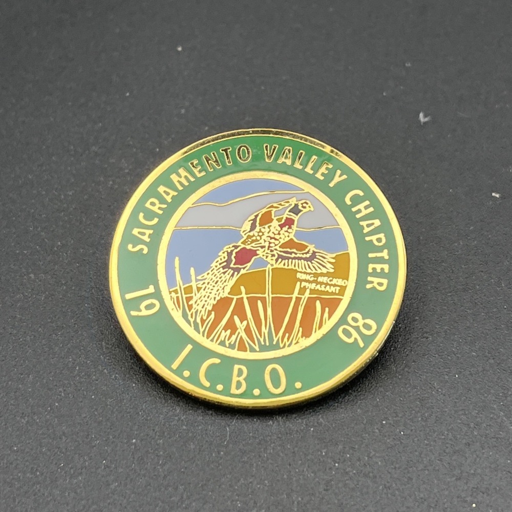 International Conference Of Building Officials Sacramento ICBO Lapel Hat Pin